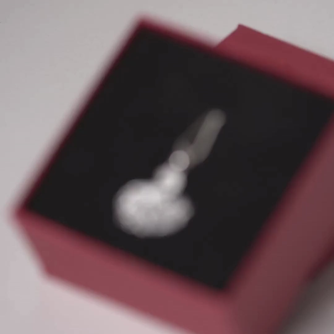 Vera & Co – Silver Swan Elegance